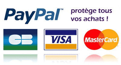 PayPal Solution